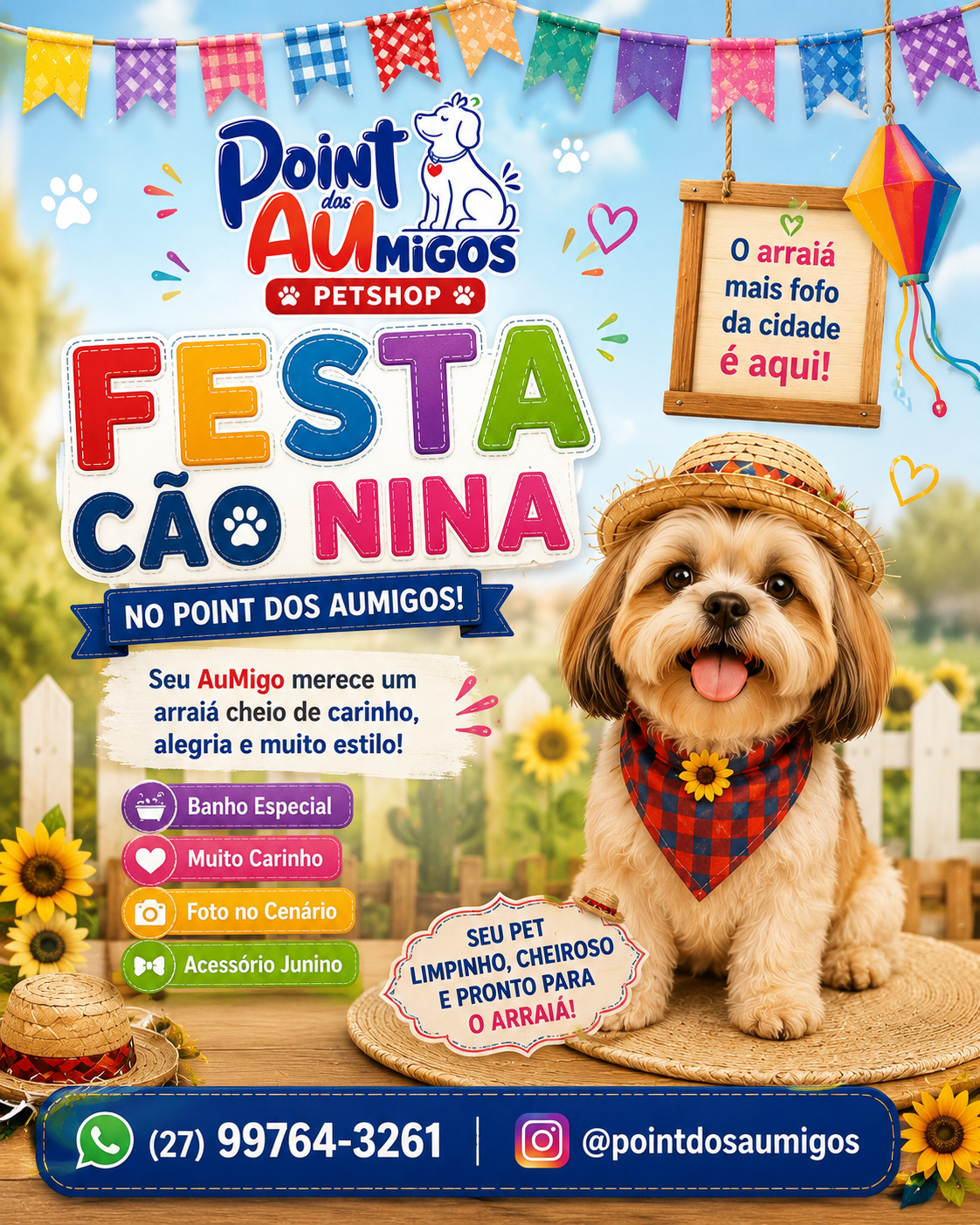 Point dos AuMigos · Campanha junina